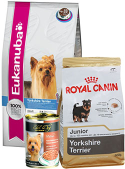 корм для Йорка