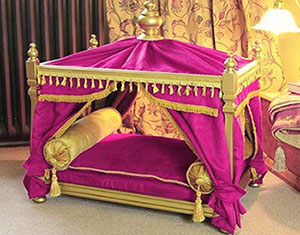 лежак-кровать для Йорка