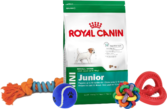 собачий корм и игрушка